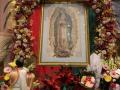 2020 FEAST DAY OF OUR LADY OF GUADALUPE