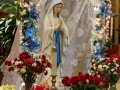 2020 FEAST DAY OF THE IMMACULATE CONCEPTION OF THE BLESSED VIRGIN MARY