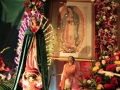 Feast VIRGIN OF GUADALUPE 2014