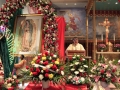 Feast VIRGIN OF GUADALUPE 2014