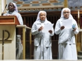 2015 FEAST OF THE IMMACULATE CONCEPTION