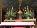 Palm Sunday 2016