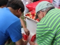 2015 SNDG PICNIC