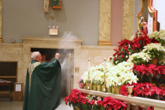 Sto Nino de Cebu